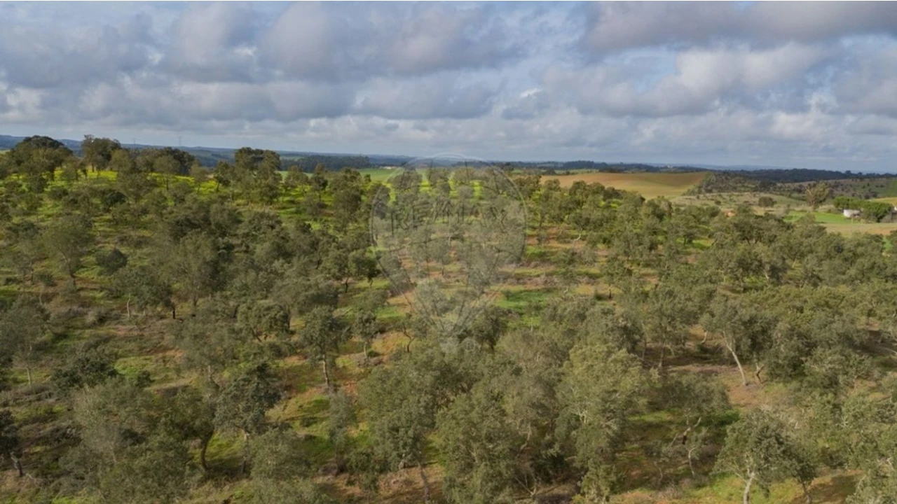 Terreno para Venda em Cercal Foto 10