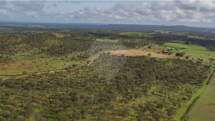 Terreno para Venda em Cercal Foto 6