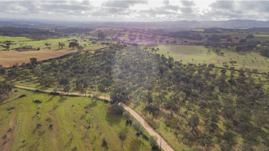 Terreno para Venda em Cercal Foto 7