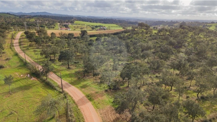 Terreno para Venda em Cercal Foto 8