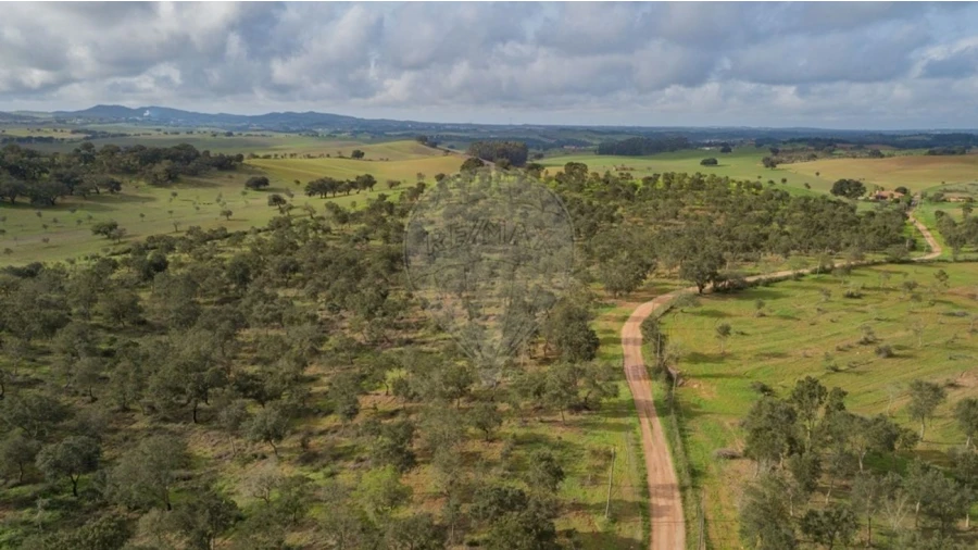 Terreno para Venda em Cercal Foto 12