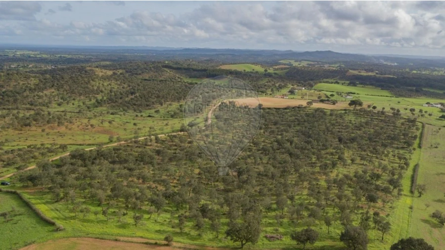 Terreno para Venda em Cercal Foto 5