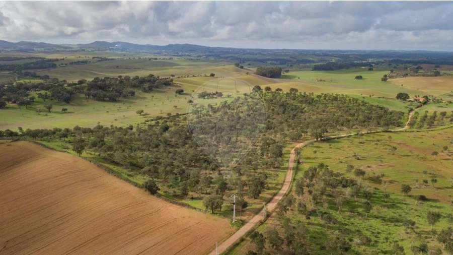 Terreno para Venda em Cercal