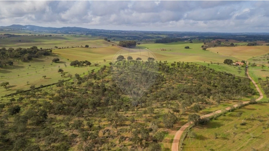 Terreno para Venda em Cercal Foto 11