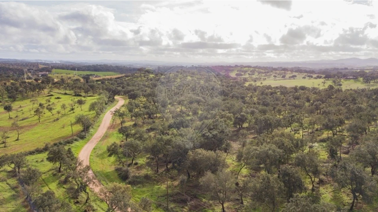 Terreno para Venda em Cercal Foto 2