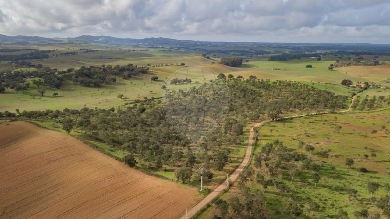 Terreno para Venda em Cercal Foto 1