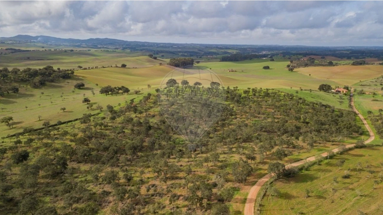 Terreno para Venda em Cercal Foto 11