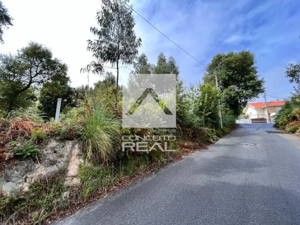 Terreno para Venda em Madalena Foto 4