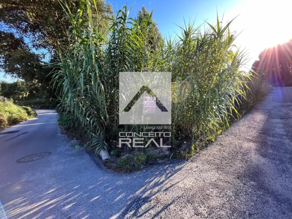 Terreno para Venda em Madalena Foto 5