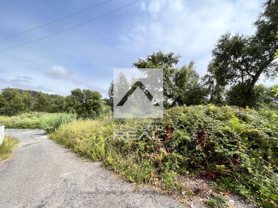 Terreno para Venda em Madalena Foto 2
