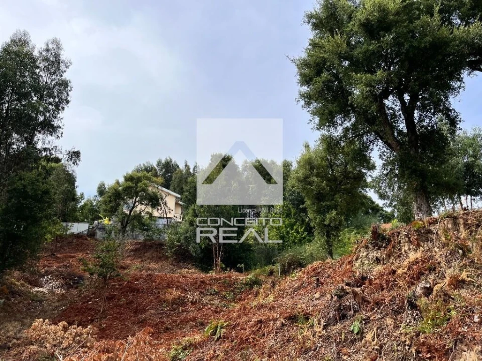 Terreno para Venda em Madalena Foto 3