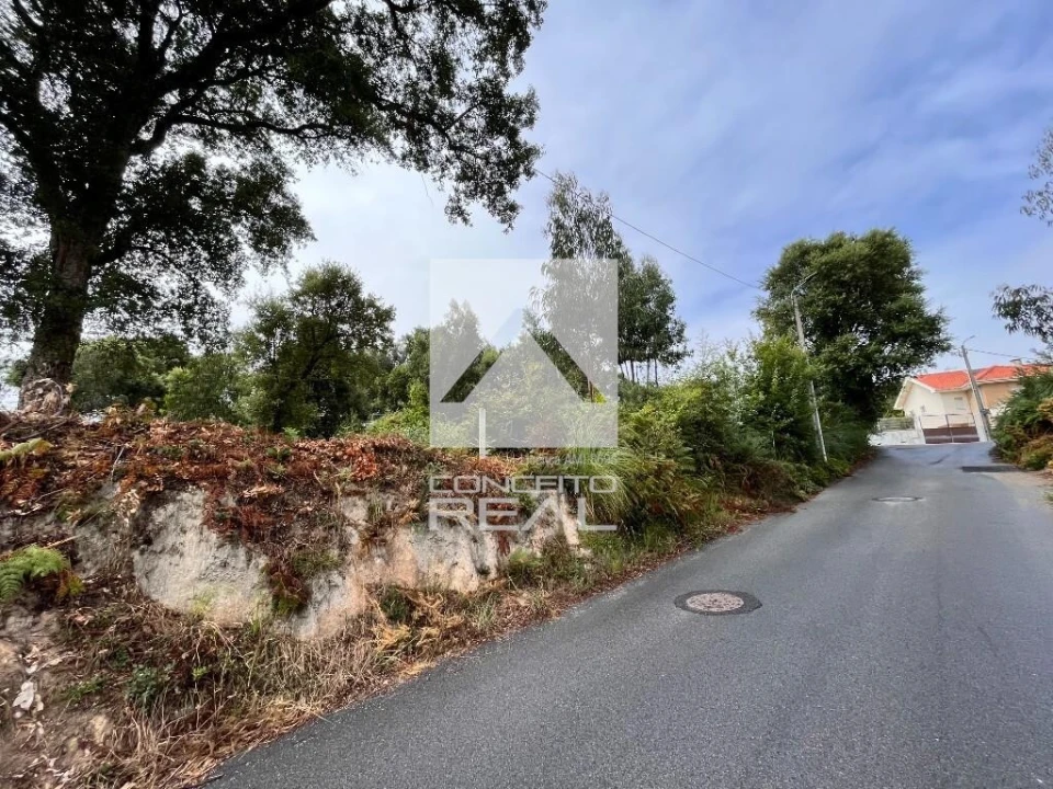 Terreno para Venda em Madalena Foto 6