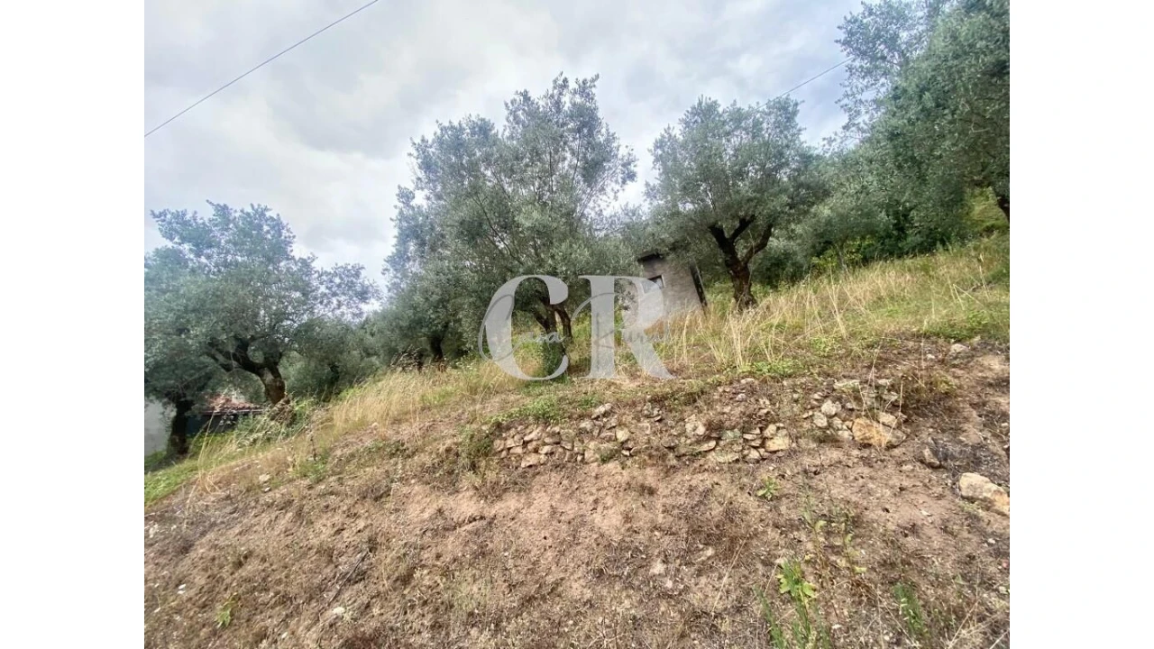 Terreno para Venda em Aguda Foto 5