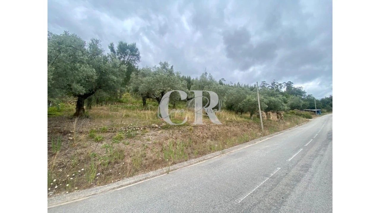 Terreno para Venda em Aguda Foto 2