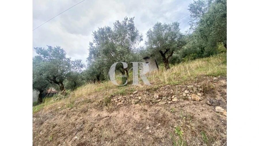 Terreno para Venda em Aguda Foto 5