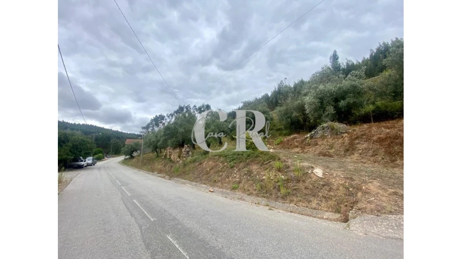 Terreno para Venda em Aguda