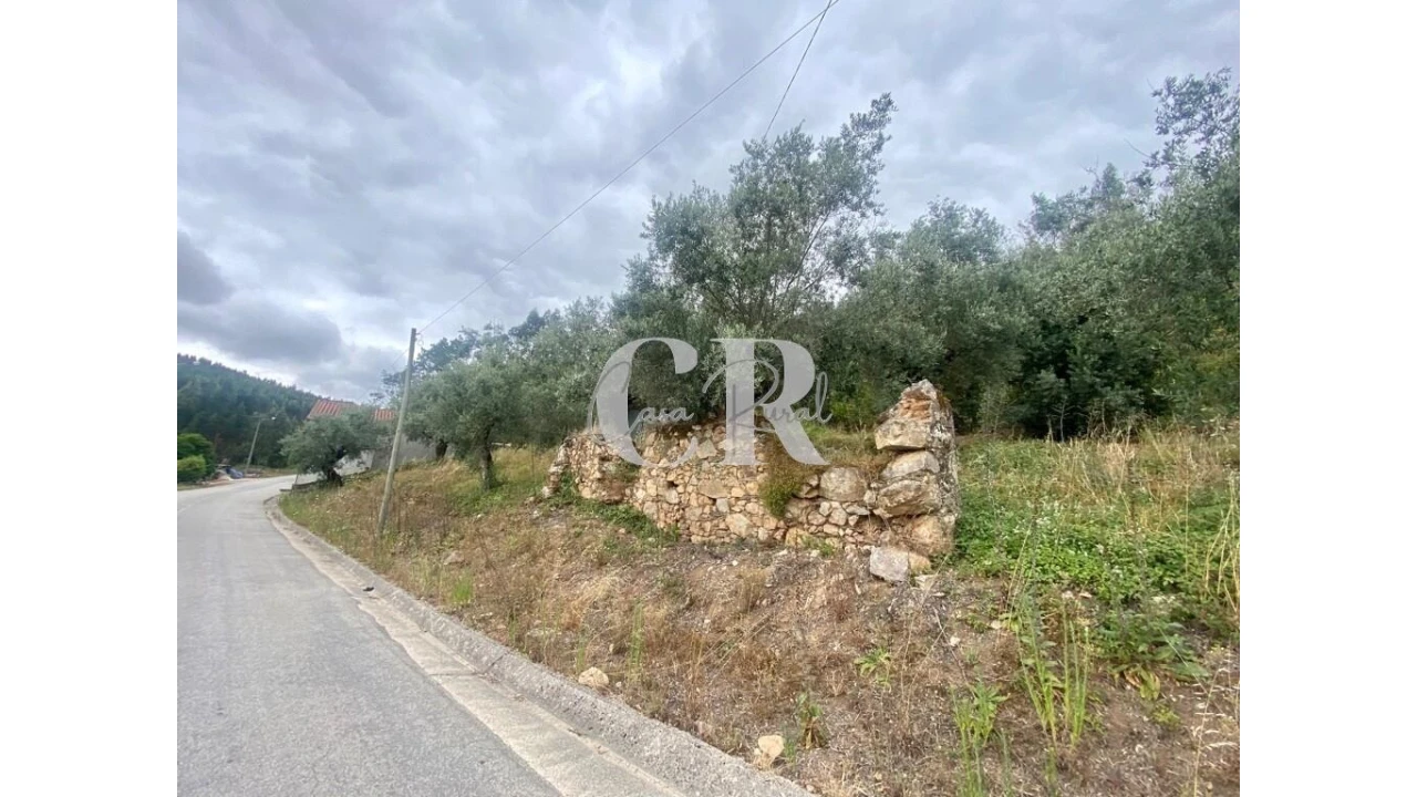 Terreno para Venda em Aguda Foto 4