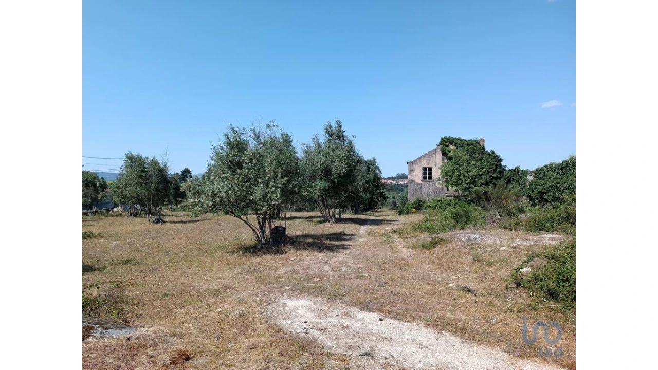 Terreno para Venda em Moimenta da Serra e Vinhó Foto 6