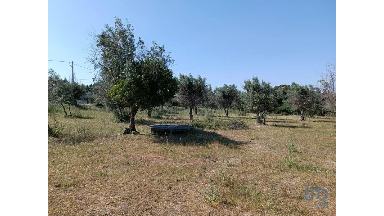 Terreno para Venda em Moimenta da Serra e Vinhó Foto 15