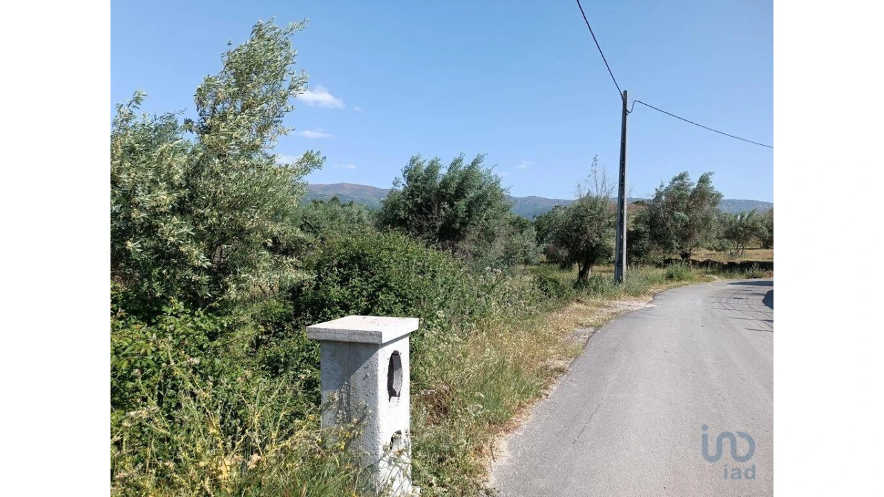 Terreno para Venda em Moimenta da Serra e Vinhó Foto 10