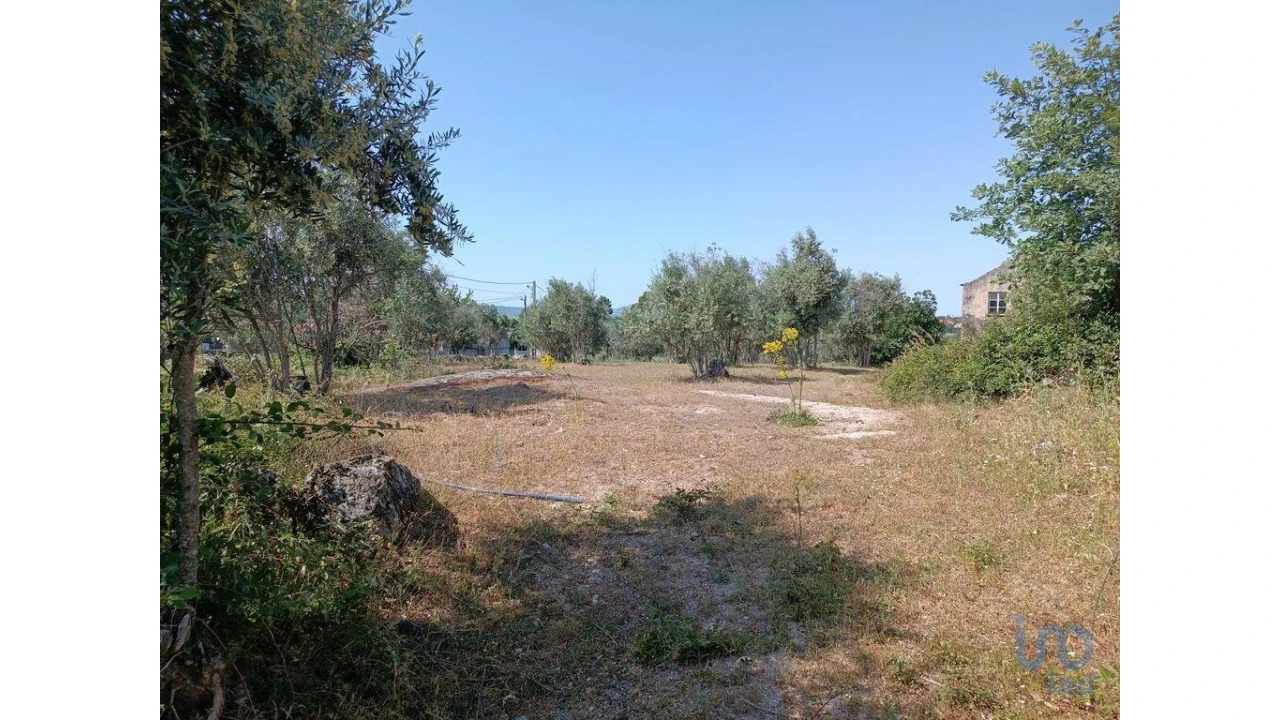 Terreno para Venda em Moimenta da Serra e Vinhó Foto 5