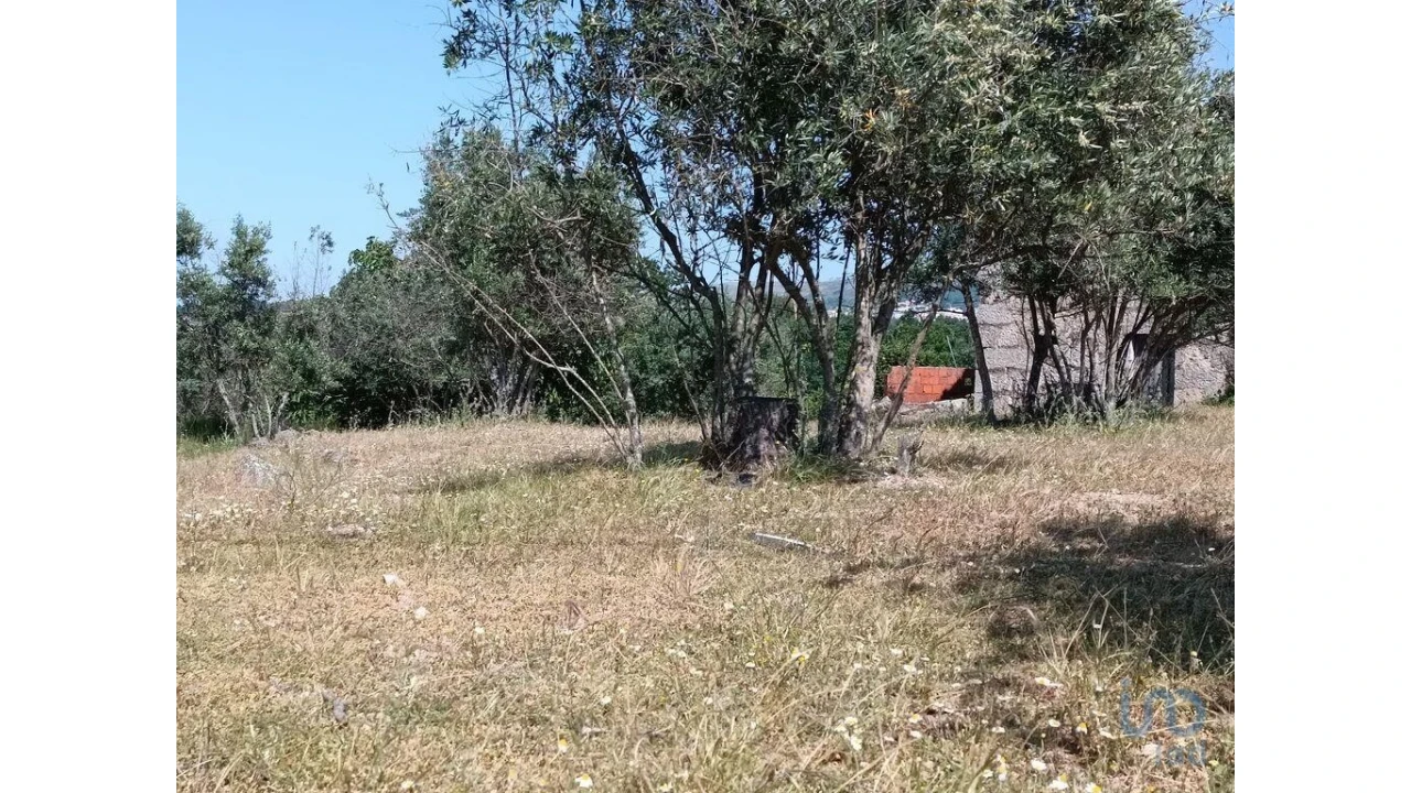 Terreno para Venda em Moimenta da Serra e Vinhó Foto 4