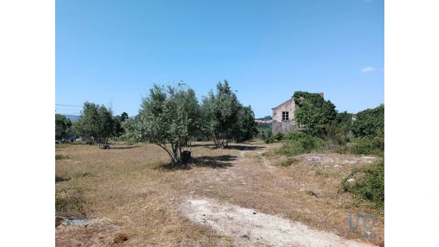 Terreno para Venda em Moimenta da Serra e Vinhó Foto 6