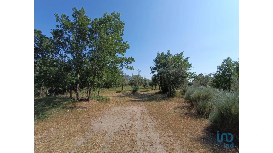 Terreno para Venda em Moimenta da Serra e Vinhó Foto 8