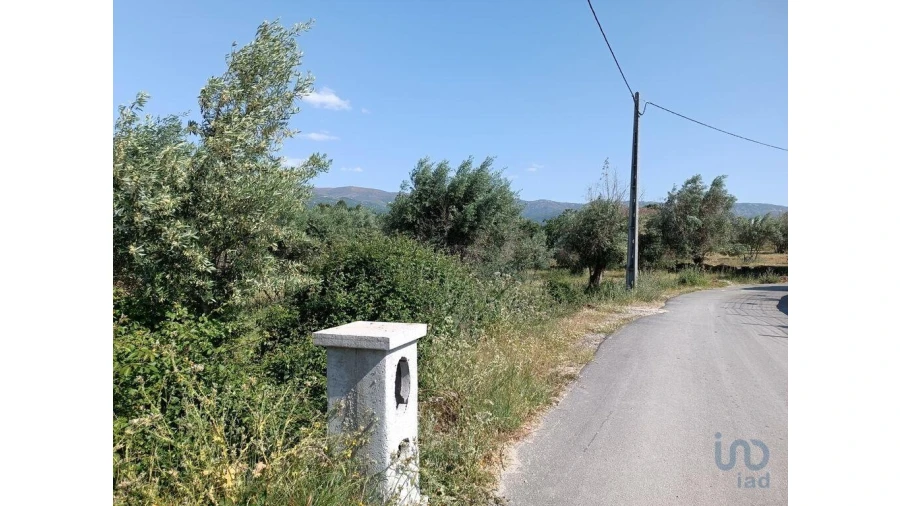 Terreno para Venda em Moimenta da Serra e Vinhó Foto 10