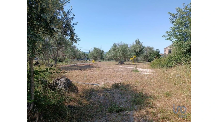 Terreno para Venda em Moimenta da Serra e Vinhó Foto 5