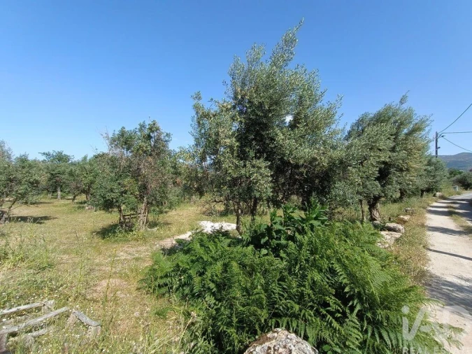 Terreno para Venda em Moimenta da Serra e Vinhó Foto 16