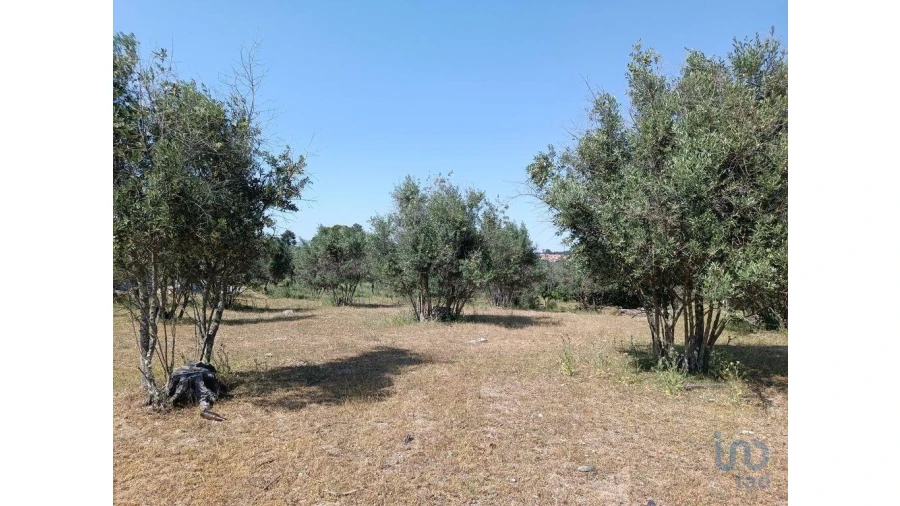 Terreno para Venda em Moimenta da Serra e Vinhó Foto 12