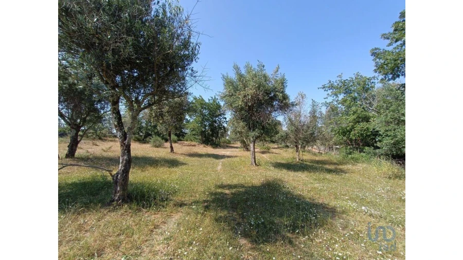 Terreno para Venda em Moimenta da Serra e Vinhó Foto 14