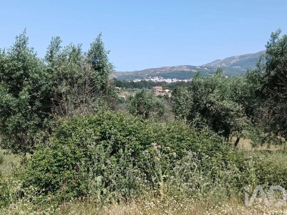 Terreno para Venda em Moimenta da Serra e Vinhó Foto 17