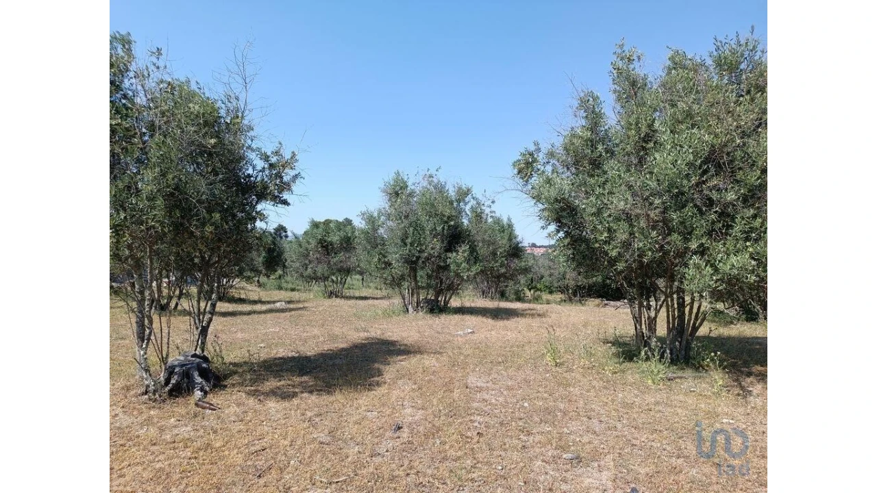 Terreno para Venda em Moimenta da Serra e Vinhó Foto 12