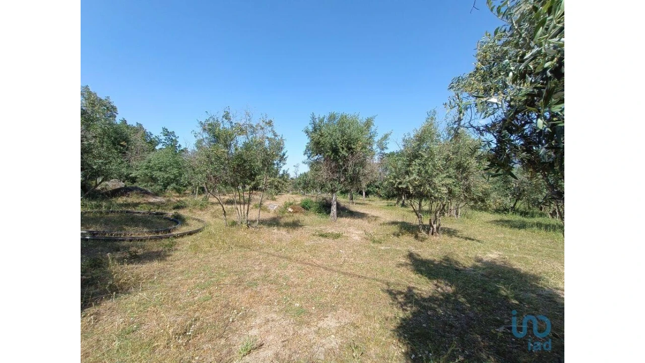 Terreno para Venda em Moimenta da Serra e Vinhó Foto 7