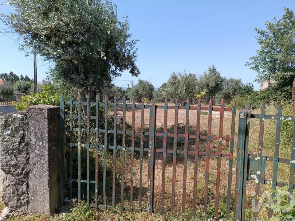 Terreno para Venda em Moimenta da Serra e Vinhó Foto 20