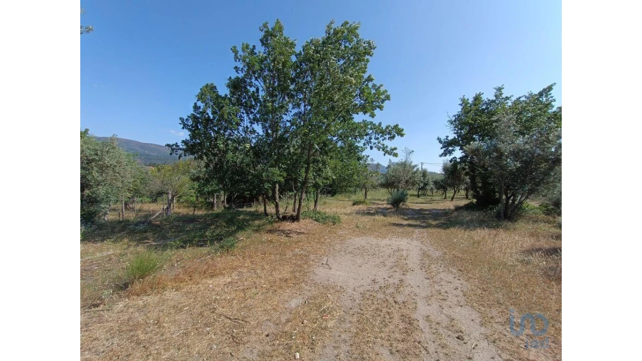 Terreno para Venda em Moimenta da Serra e Vinhó Foto 13