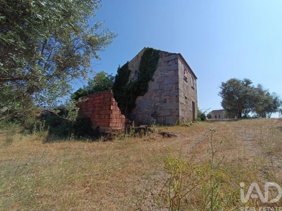 Terreno para Venda em Moimenta da Serra e Vinhó Foto 18