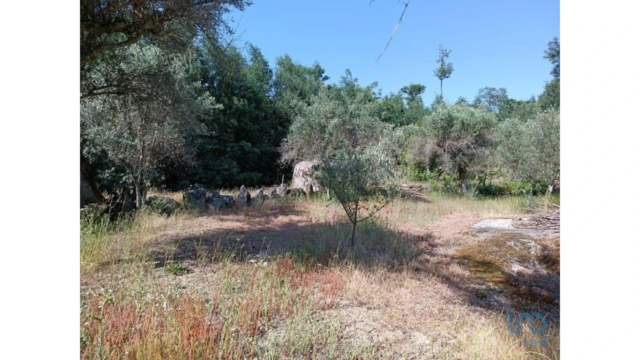 Terreno para Venda em Moimenta da Serra e Vinhó Foto 10