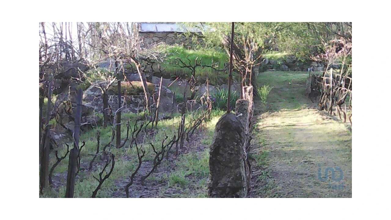 Terreno para Venda em Moimenta da Serra e Vinhó Foto 3