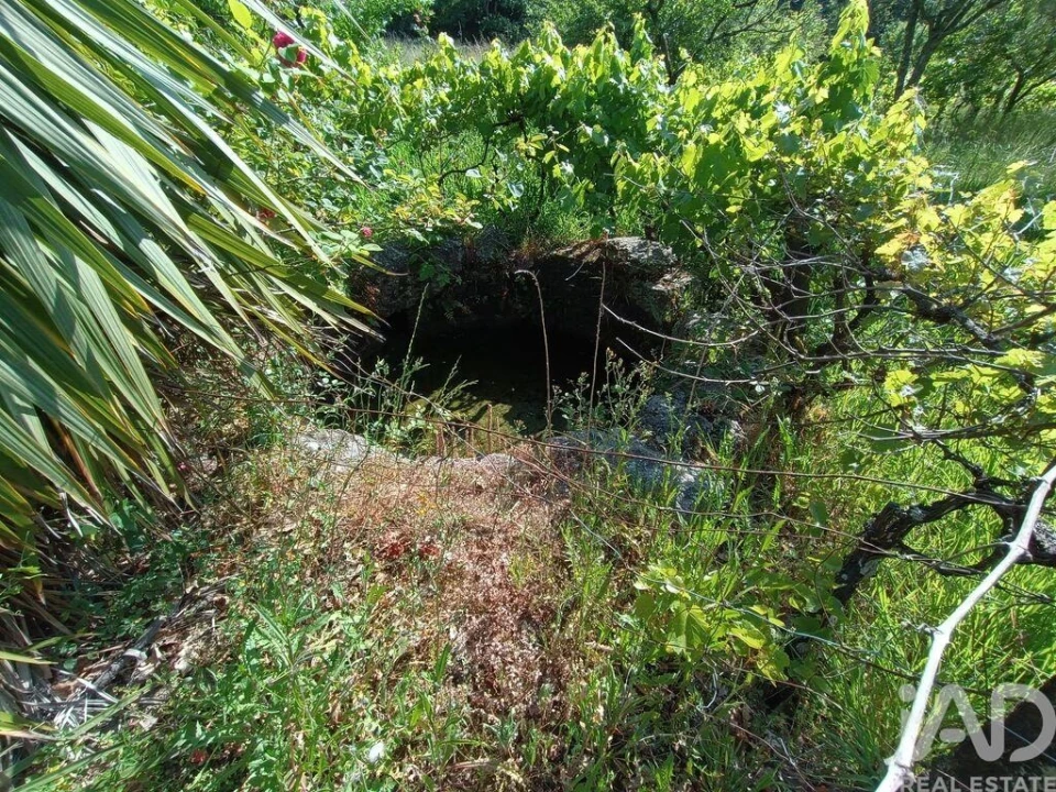 Terreno para Venda em Moimenta da Serra e Vinhó Foto 18