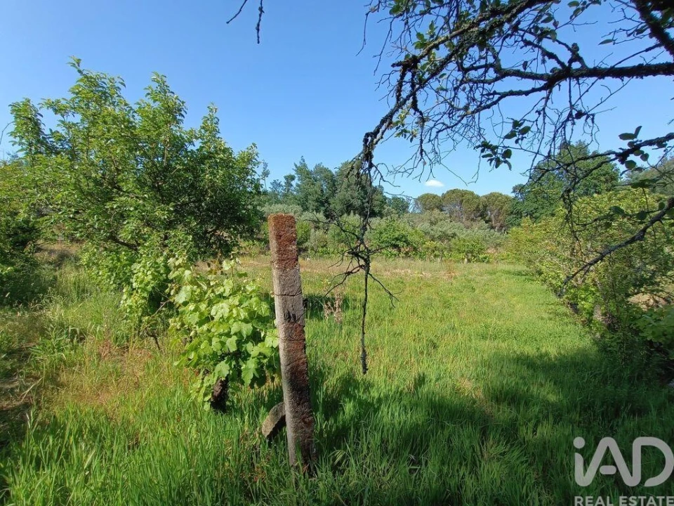 Terreno para Venda em Moimenta da Serra e Vinhó Foto 22