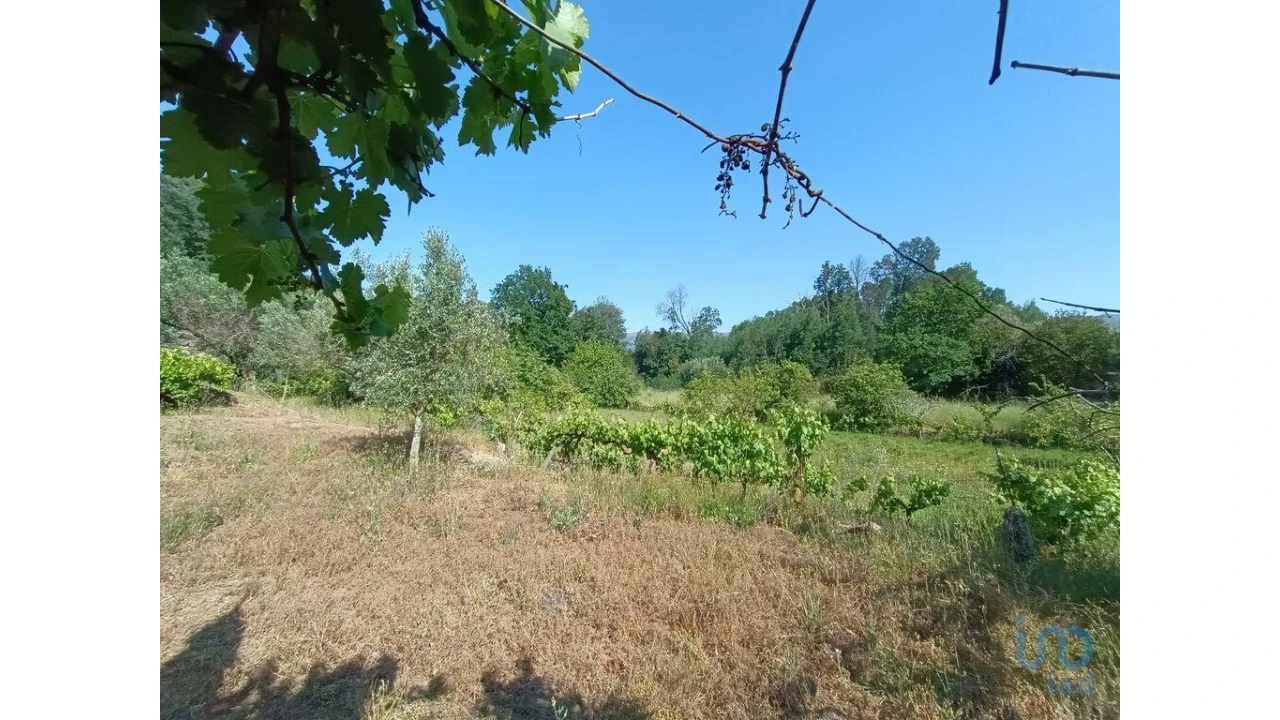 Terreno para Venda em Moimenta da Serra e Vinhó Foto 9
