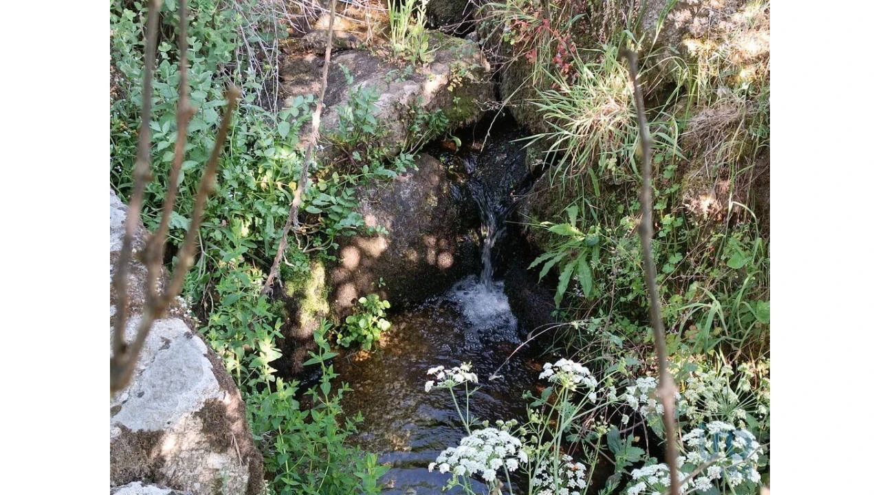 Terreno para Venda em Moimenta da Serra e Vinhó Foto 14
