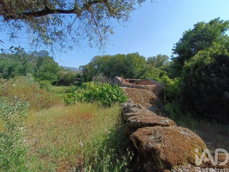 Terreno para Venda em Moimenta da Serra e Vinhó Foto 21
