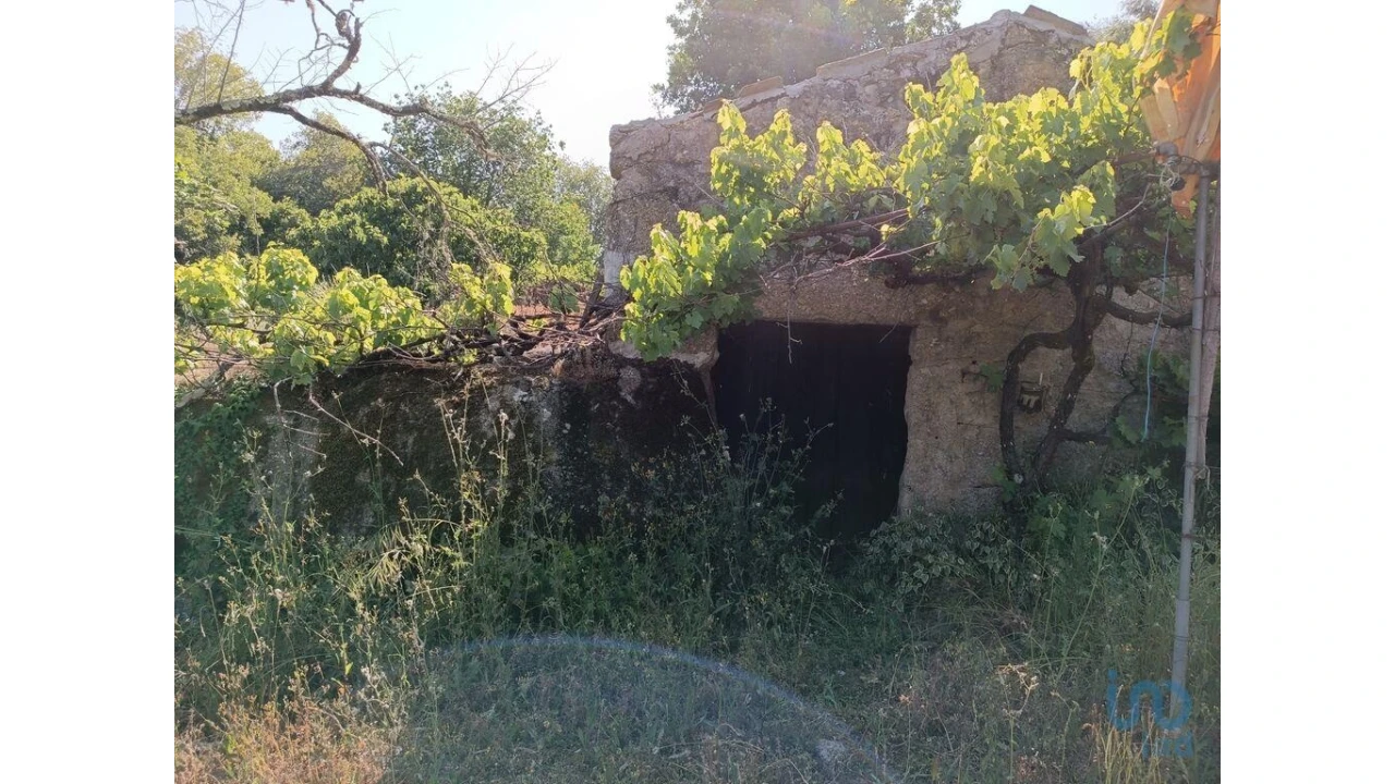 Terreno para Venda em Moimenta da Serra e Vinhó Foto 6