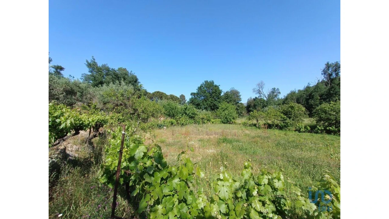 Terreno para Venda em Moimenta da Serra e Vinhó Foto 8