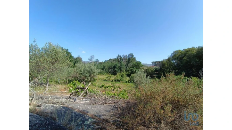 Terreno para Venda em Moimenta da Serra e Vinhó Foto 7