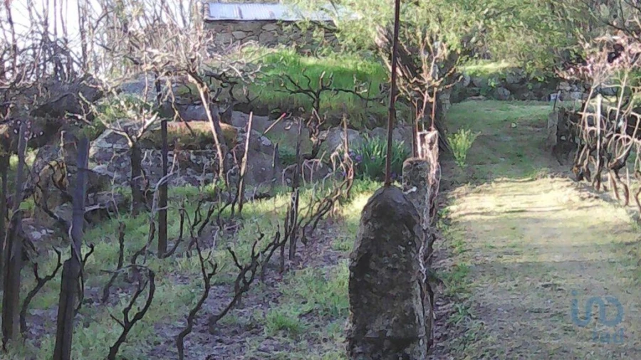 Terreno para Venda em Moimenta da Serra e Vinhó Foto 3